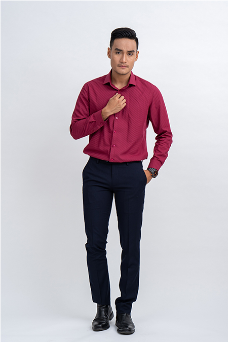 Áo sơ mi nam Novelty dài tay Regular Fit 181083D